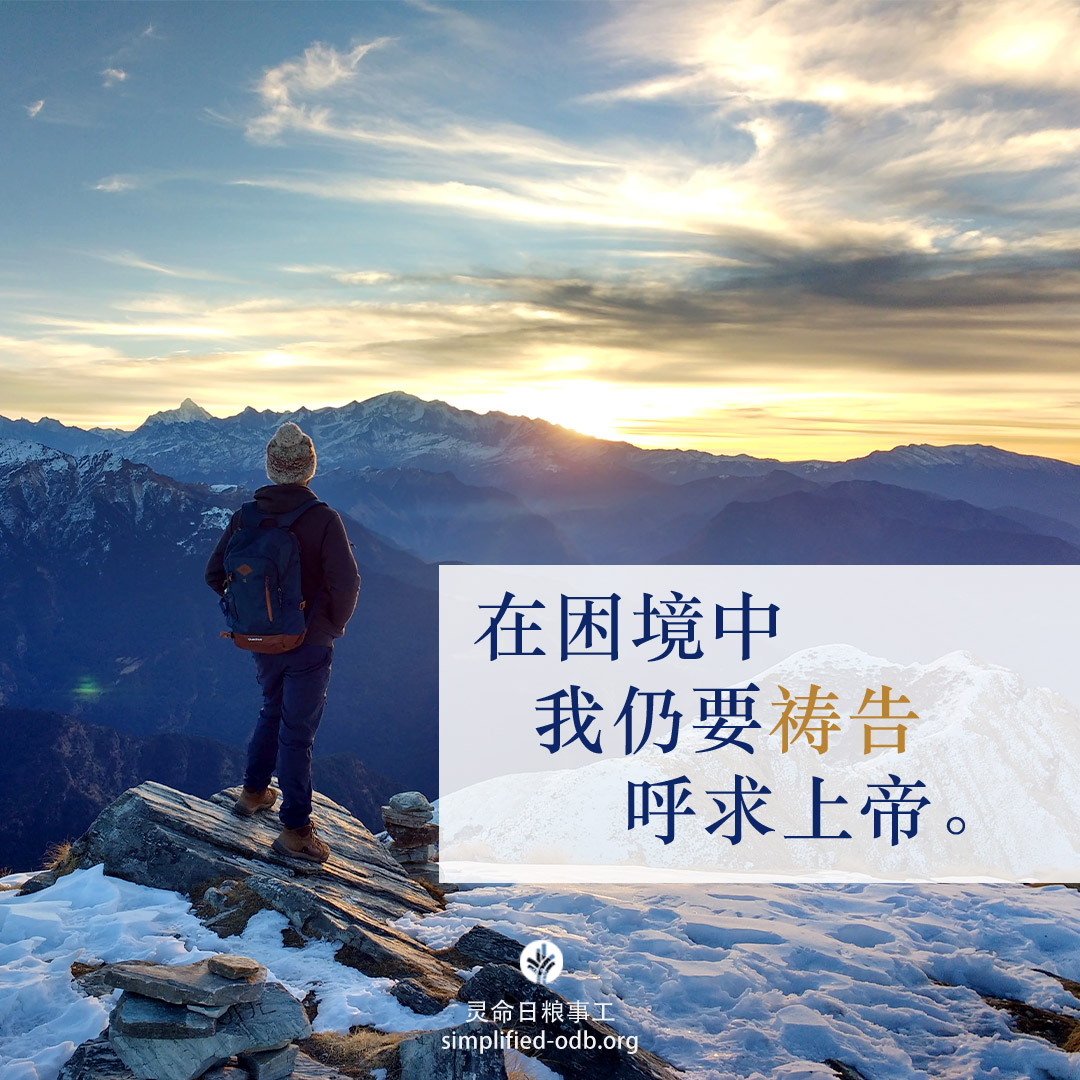 share_odb_2023-02-24 SC.jpg
