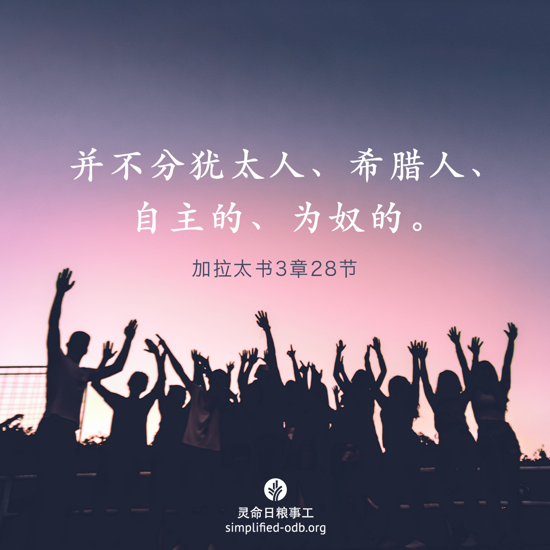 share_odb_2023-08-08 SC.jpg