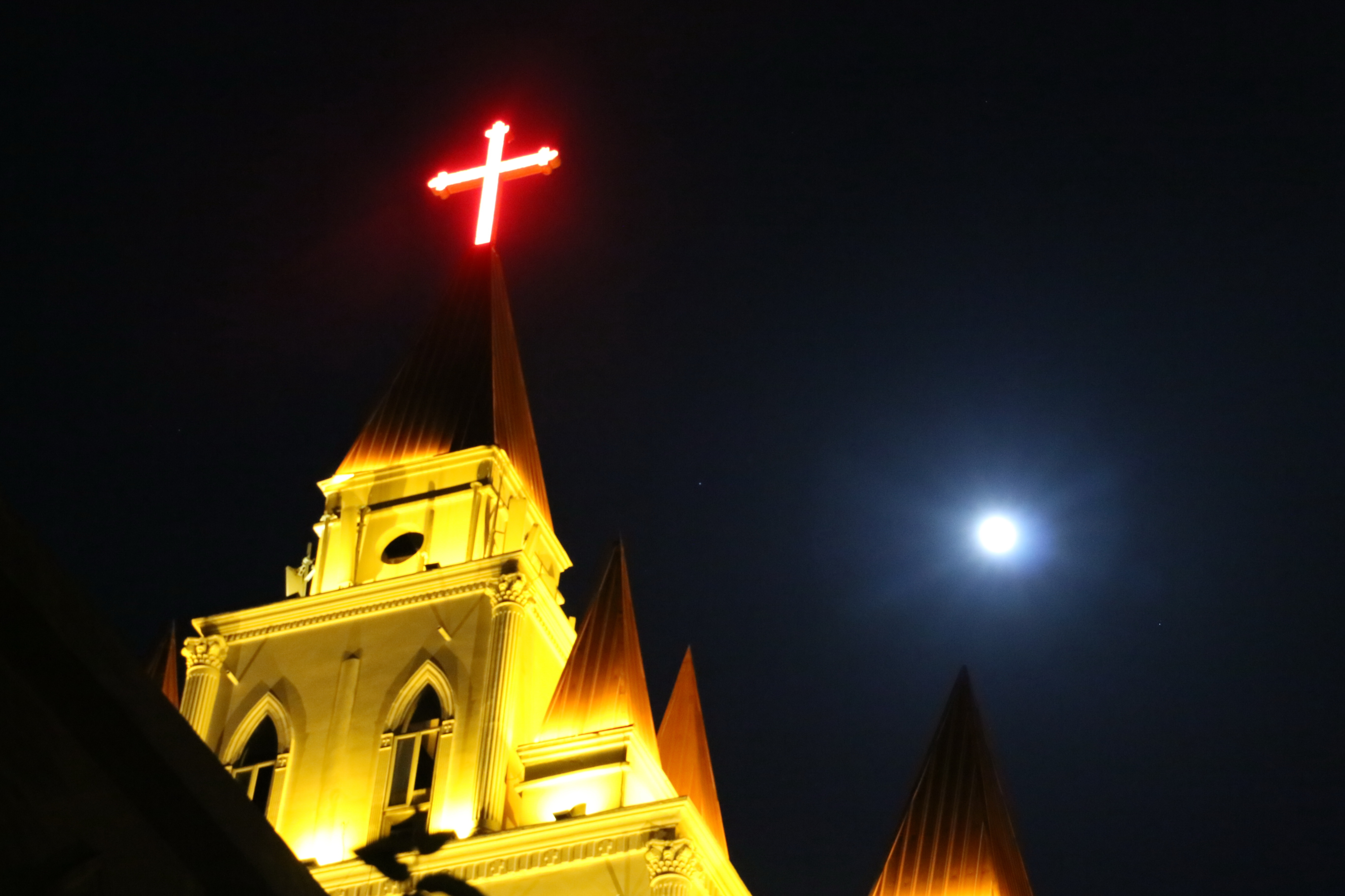 IMG_8354.JPG