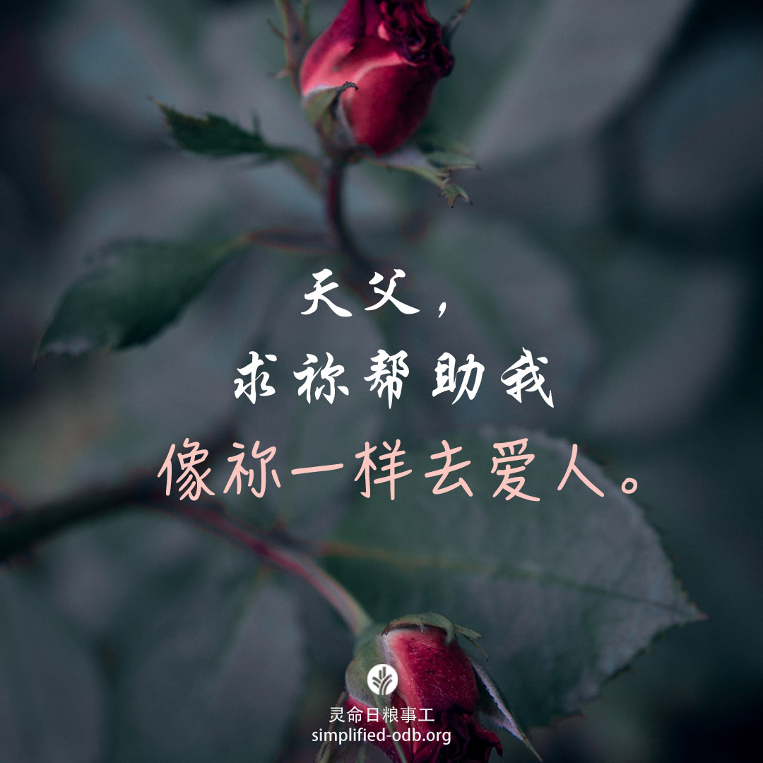 share_odb_2023-01-19 SC-01.jpg